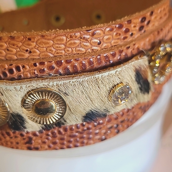 Dog Collar/Leather Dog Collar Small - Picture 2 of 5